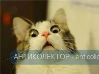 358866dd064a31224fae8045bf39a459.webp