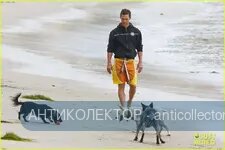 matthew-mcconaughey-plays-fetch-with-pups-on-the-beach-31.webp