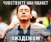 566.webp