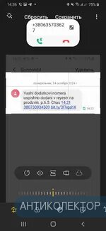 Screenshot_20241014-143604_Photo Editor.webp