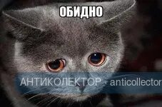 unnamed.webp