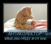 23ffd9aa27a9566a9b8ae0d347bb10cc.webp
