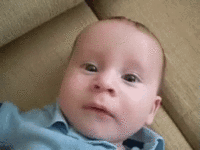 mp4-ezgif.com-video-to-gif-converter.gif