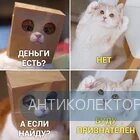 2966E28B-06F7-4509-9A8F-9E30BFCC5727.webp
