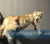 607E2C30-F049-426A-A5E8-178F2A080E02.webp