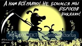 646464.webp