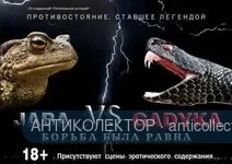 BD469338-22C3-47B8-BCB0-0B29066086A3.webp