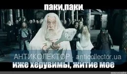 465464654.webp