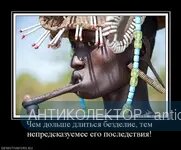 6465465.webp