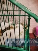 IMG_20200121_235521.webp