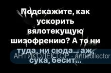 FB_IMG_1577227909016.webp