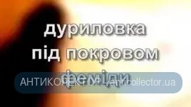 987987964.webp