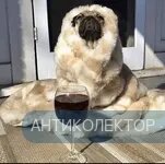 изображение_viber_2020-02-21_10-26-11.webp