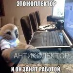 4545.webp