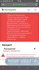 377AEC56-07F2-4722-BE71-A9ECDA91A570.webp
