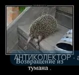 546466465.webp