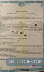 IMG_20200714_180225.webp