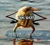 56466.webp