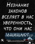 556646.webp