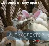 444.webp