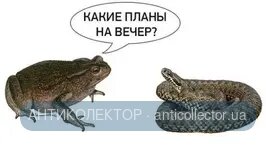 15137499.webp