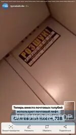 Screenshot_20190517-233534_Instagram.webp